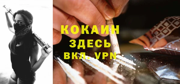 apvp Горнозаводск