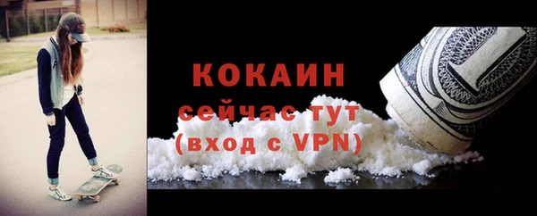 молекула духа Горняк