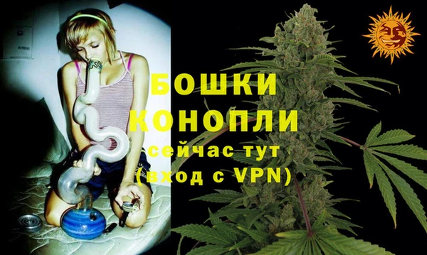 молекула духа Горняк
