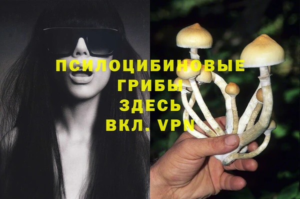 марихуана Горно-Алтайск