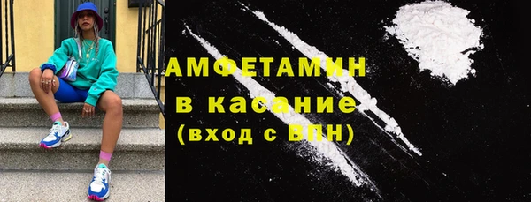 хмурый Тайга