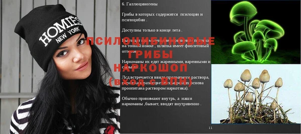 молекула духа Горняк